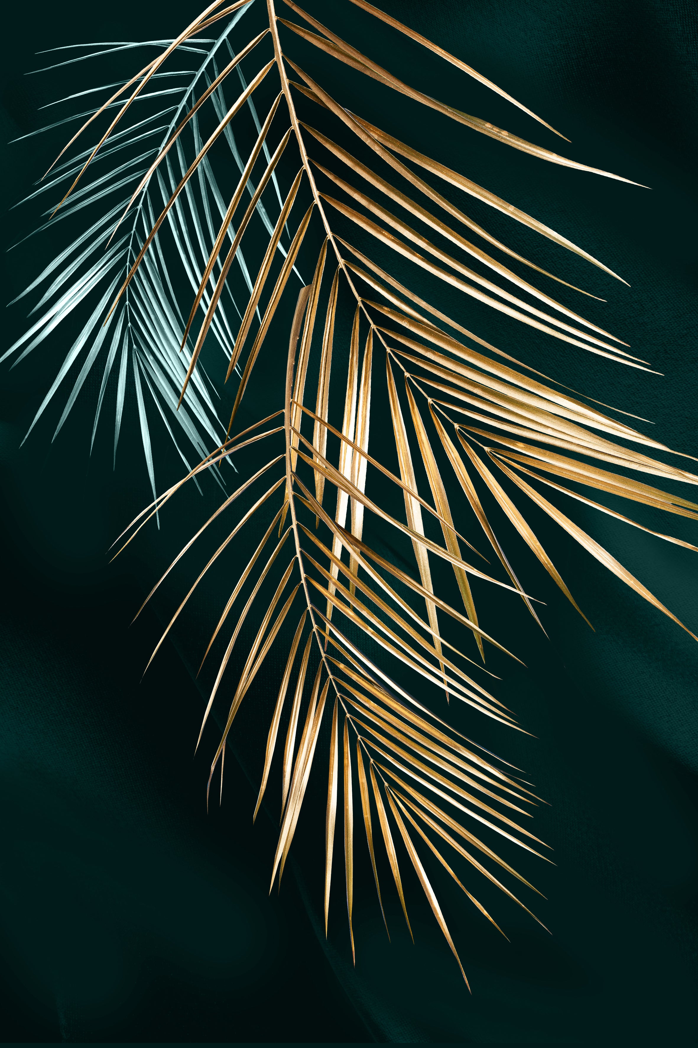 Wall Abstract Botanical Leaves Pictures Nordic Plant Leaf Paintings