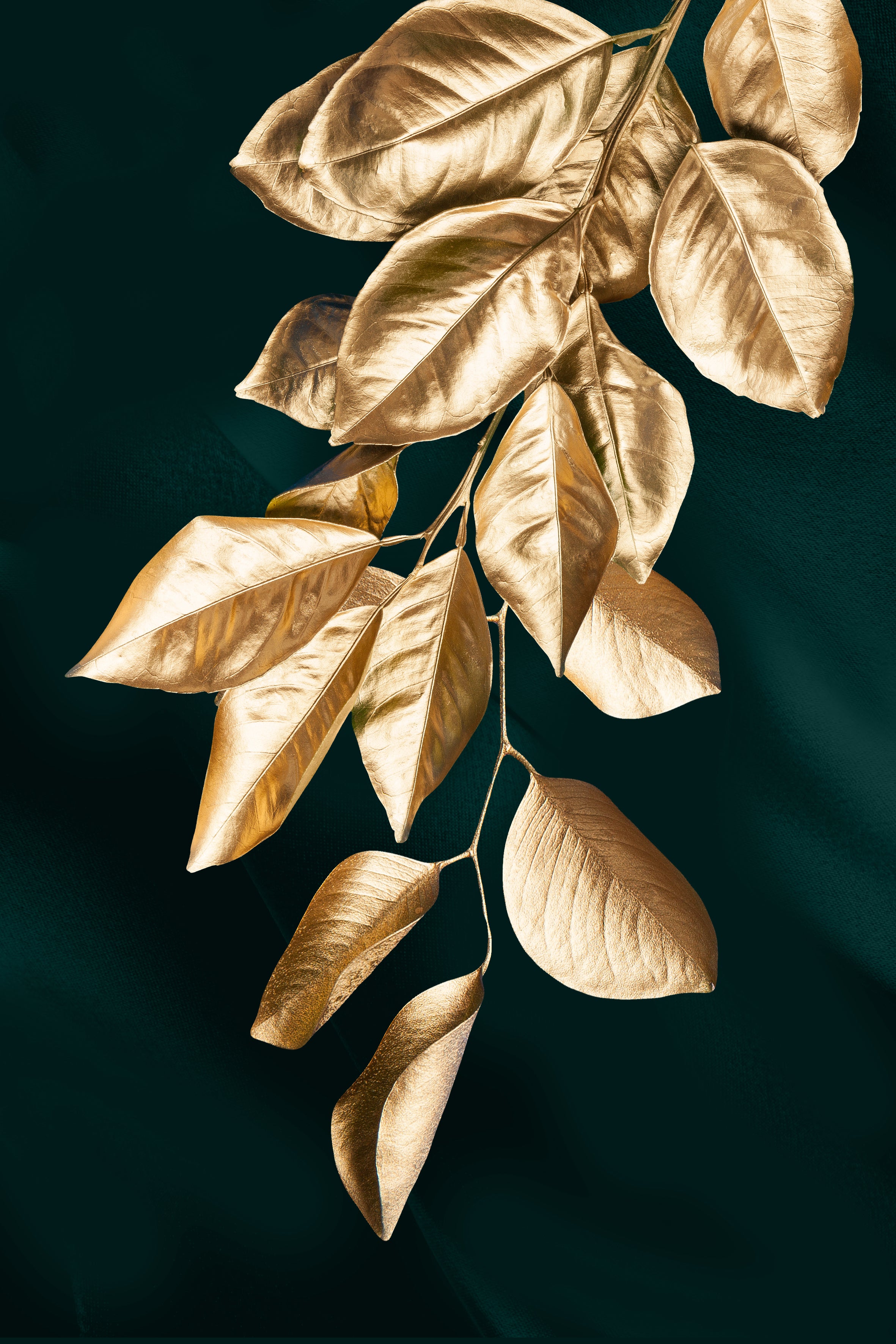 Wall Abstract Botanical Leaves Pictures Nordic Plant Leaf Paintings
