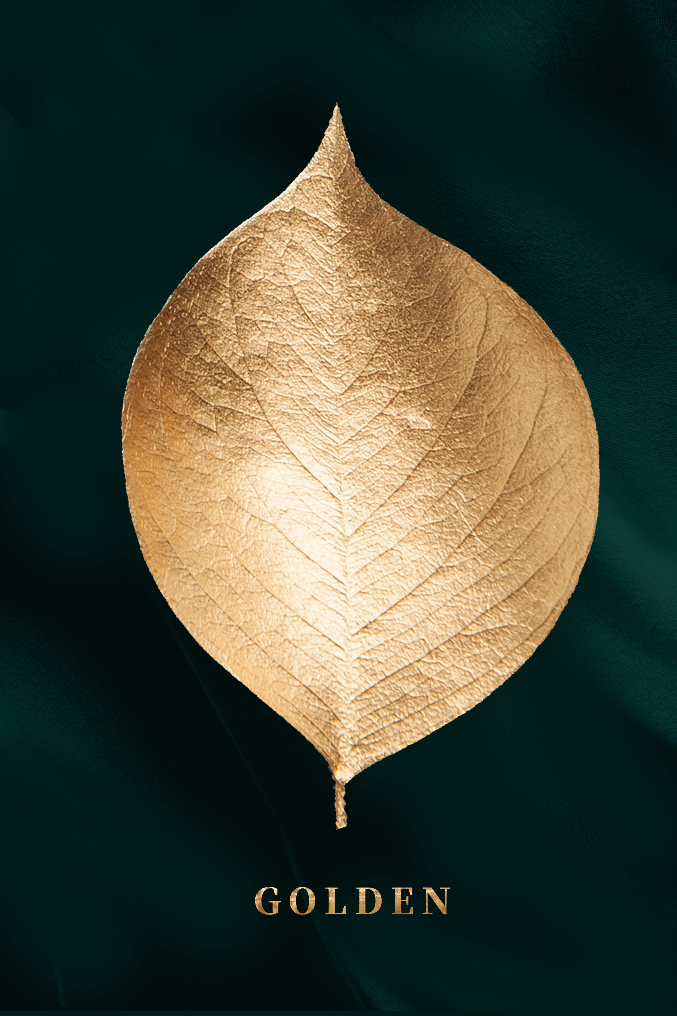 Wall Abstract Botanical Leaves Pictures Nordic Plant Leaf Paintings